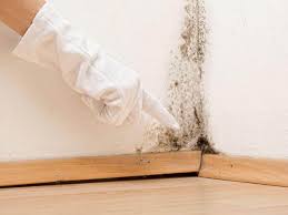 Best Mold Removal for HVAC Installations  in Washington, GA